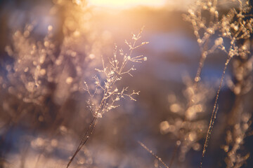 上海增1个高风险38个中风险（上海再有2地升为中风险）