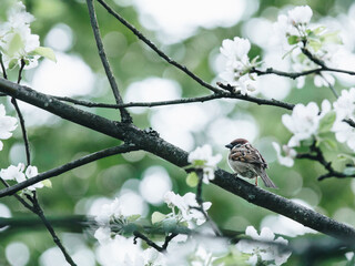 16天确诊484例疫情源头在哪[本轮疫情源头确定]