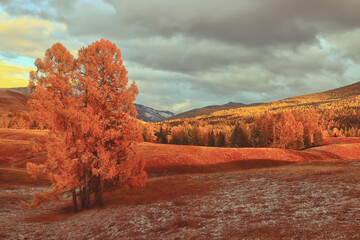 夹江疫情?夹江县应对新型冠状病毒肺炎疫情应急指挥部