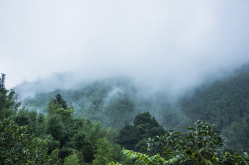 额济纳旗增13例本土[额济纳旗新增6例确诊 累计31例]
